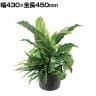 ポピー 観葉植物 人工樹木 スパティフィラムミックスグリーンポット 卓上グリーンポット 幅430×全長450mm フェイクグリーン 葉 造花 インテリア オフィス