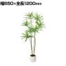 ポピー 観葉植物 人工樹木 ドラセナポット 幅650×全長1200mm フェイクグリーン 葉 造花 インテリア オフィス おしゃれ