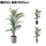 ポピー 観葉植物 人工樹木 アレカヤシ 日本製 国産 幅800×全長1500mm フェイクグリーン 葉 造花 インテリア オフィス おしゃれ