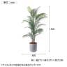 ポピー 観葉植物 人工樹木 アレカヤシ 日本製 国産 幅800×全長1500mm フェイクグリーン 葉 造花 インテリア オフィス おしゃれ-2