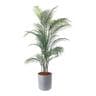 ポピー 観葉植物 人工樹木 アレカヤシ 日本製 国産 幅800×全長1500mm フェイクグリーン 葉 造花 インテリア オフィス おしゃれ-19