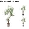 ポピー 観葉植物 人工樹木 オリーブ 日本製 国産 幅1050×全長1800mm フェイクグリーン 葉 造花 インテリア オフィス おしゃれ