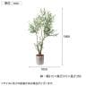 ポピー 観葉植物 人工樹木 オリーブ 日本製 国産 幅1050×全長1800mm フェイクグリーン 葉 造花 インテリア オフィス おしゃれ-2