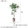 ポピー 観葉植物 人工樹木 パキラ 日本製 国産 幅700×全長1500mm フェイクグリーン 葉 造花 インテリア オフィス おしゃれ-2