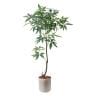 ポピー 観葉植物 人工樹木 パキラ 日本製 国産 幅700×全長1500mm フェイクグリーン 葉 造花 インテリア オフィス おしゃれ-19