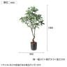 ポピー 観葉植物 人工樹木 パキラ 日本製 国産 幅900×全長1800mm フェイクグリーン 葉 造花 インテリア オフィス おしゃれ-2