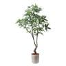 ポピー 観葉植物 人工樹木 パキラ 日本製 国産 幅900×全長1800mm フェイクグリーン 葉 造花 インテリア オフィス おしゃれ-19