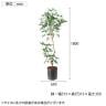ポピー 観葉植物 人工樹木 シェフレラアンガスティフォリア 日本製 国産 幅650×全長1800mm フェイクグリーン 葉 造花 インテリア オフィス おしゃれ-2