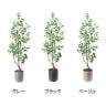 ポピー 観葉植物 人工樹木 フィカストライアンギュラス 日本製 国産 幅600×全長1800mm フェイクグリーン 葉 造花 インテリア オフィス おしゃれ-1