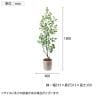 ポピー 観葉植物 人工樹木 フィカストライアンギュラス 日本製 国産 幅600×全長1800mm フェイクグリーン 葉 造花 インテリア オフィス おしゃれ-2