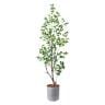 ポピー 観葉植物 人工樹木 フィカストライアンギュラス 日本製 国産 幅600×全長1800mm フェイクグリーン 葉 造花 インテリア オフィス おしゃれ-19