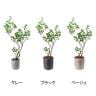 ポピー 観葉植物 人工樹木 フィカストライアンギュラス 日本製 国産 幅950×全長1250mm フェイクグリーン 葉 造花 インテリア オフィス おしゃれ-1