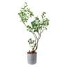 ポピー 観葉植物 人工樹木 フィカストライアンギュラス 日本製 国産 幅950×全長1250mm フェイクグリーン 葉 造花 インテリア オフィス おしゃれ-19