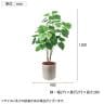 ポピー 観葉植物 人工樹木 ウンベラータ 日本製 国産 幅900×全長1200mm フェイクグリーン 葉 造花 インテリア オフィス おしゃれ-2