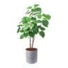 ポピー 観葉植物 人工樹木 ウンベラータ 日本製 国産 幅900×全長1200mm フェイクグリーン 葉 造花 インテリア オフィス おしゃれ-19