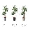 ポピー 観葉植物 人工樹木 クラスタードラセナ 日本製 国産 幅900×全長1500mm フェイクグリーン 葉 造花 インテリア オフィス おしゃれ-1