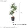 ポピー 観葉植物 人工樹木 クラスタードラセナ 日本製 国産 幅900×全長1500mm フェイクグリーン 葉 造花 インテリア オフィス おしゃれ-2