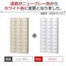 【国産】【完成品】スチール製 シューズボックス・靴箱・下駄箱 3列10段30人用 錠付/SLB-30-S2-2
