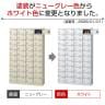 【国産】【完成品】スチール製 シューズボックス・靴箱・下駄箱 4列10段40人用 錠付/SLB-440-S2-2