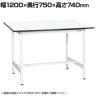 【抗菌加工】サカエ 軽量作業台KAタイプ KA-127MW 幅1200×奥行750×高さ740mm【SIAA】