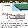 【抗菌加工】サカエ 軽量立作業台KSDタイプ 改正RoHS10物質対応 KSD-156FEI 幅1500×奥行600×高さ900mm【SIAA】-1