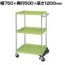サカエ CSパールワゴン 中量タイプ フットブレーキ付き 幅750×奥行500×高さ1200mm CSP-75123BRSE