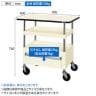 サカエ CSパールワゴン 中量タイプ 引出し 天板付き 幅900×奥行600×高さ760mm CSP-9072CTPI-1