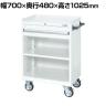 サカエ キャビネットワゴン 棚板付き 幅700×奥行480×高さ1025mm CV-101TW