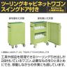 サカエ ツーリングキャビネットワゴン スイングドア付き 幅700×奥行500×高さ1095mm TLC-F2GAC-2