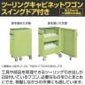 サカエ ツーリングキャビネットワゴン スイングドア付き 幅700×奥行500×高さ1095mm TLC-F2GBC-2