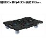 サカエ サカエメッシュキャリー ストッパー付き 幅620×奥行430×高さ118mm SCR-M450NBKS