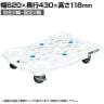 サカエ サカエメッシュキャリー サイレントエラストマー車仕様 幅620×奥行430×高さ118mm SCR-M450SEKWS
