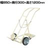 サカエ ボンベキャリー 幅850×奥行300×高さ1200mm BC-20I