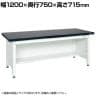 サカエ 実験用作業台KFTタイプ 幅1200×奥行750×高さ715mm KFT-1275P