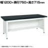 サカエ 実験用中量作業台 特殊アクリル天板 幅1200×奥行750×高さ715mm CFC-1275P