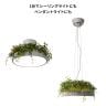 【LED一体型】ペンダントライト ジョルノ シーリングライト 調光調色 リモコン付き 照明 おしゃれ 吊り下げ グリーン 森 葉 木漏れ日-6