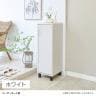 下駄箱 シューズボックス スリム 隙間 約6足収納 靴箱 玄関収納 シューズラック フルニコ FUL-1035D 幅328×奥行364×高さ990mm 白井産業-4