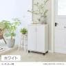下駄箱 シューズボックス 扉 約18足収納 靴箱 玄関収納 シューズラック フルニコ FUL-1065D 幅630×奥行364×高さ990mm 白井産業-4