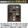 下駄箱 シューズボックス 洗える樹脂棚 巾木よけ ダンパー付き扉 壁面収納 ポルターレエントランス PRE-9560CD 幅602×奥行371×高さ951mm 白井産業 国産-6