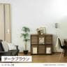 ディスプレイラック フラップ扉 本棚 飾り棚 セパルテック SEP-9095F 幅947×奥行413×高さ885mm 白井産業-7
