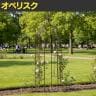 アイアンハーフアーチ オベリスクキット バラアーチ ガーデンアーチ ベランダ 庭 エントランス スチール製 ガーデニング 園芸用品 蔦 つるバラ-8