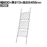 アイアン製グリーンカーテン Argyle アーガイル 2枚組 日よけ シェード 立て掛け カーテン フェンス 節電 省エネ 窓 目隠し つる性植物 スチール製