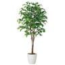 観葉植物 人工 樹木 ベンジャミナスプラッシュトリプル 高さ1800mm Lサイズ 鉢:RP-300