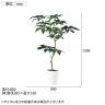 観葉植物 人工樹木 フェイクグリーン 造花 ツピダンサス FST 高さ1500mm 鉢:SA-10(WH)-5