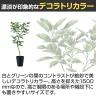 観葉植物 人工樹木 フェイクグリーン 造花 デコラトリカラー FST 高さ1500mm 鉢:SA-10(BK)-2