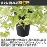 観葉植物 人工樹木 フェイクグリーン 造花 ライムアイビー 高さ350mm 鉢:SA-4(BK) 卓上-3