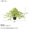 観葉植物 人工樹木 フェイクグリーン 造花 ライムアイビー 高さ350mm 鉢:SA-4(BK) 卓上-5