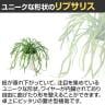 観葉植物 人工樹木 フェイクグリーン 造花 リプサリス 高さ250mm 鉢:SA-4(WH) 卓上-2