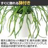 観葉植物 人工樹木 フェイクグリーン 造花 リプサリス 高さ250mm 鉢:SA-4(WH) 卓上-3
