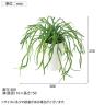 観葉植物 人工樹木 フェイクグリーン 造花 リプサリス 高さ250mm 鉢:SA-4(WH) 卓上-5